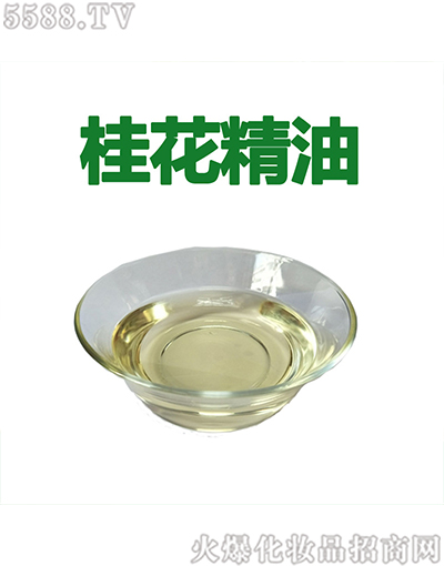 �V�ݰ��������Ƽ����޹�˾������ݹ𻨾���