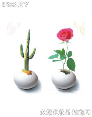 �Ϻ���������Ƽ����޹�˾����ǻ�ޏ�(f��)3��ɆT