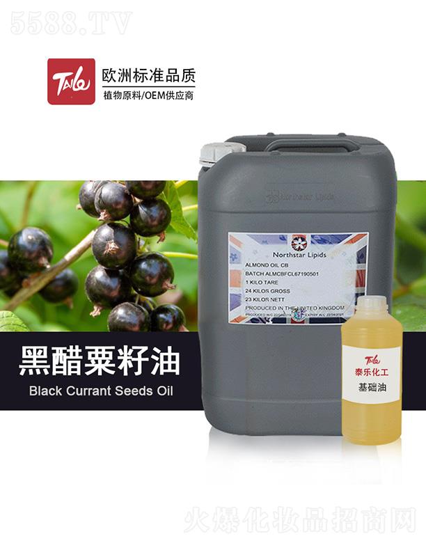 �V��̩�������Ƽ����޹�˾��̩���ڴ�������