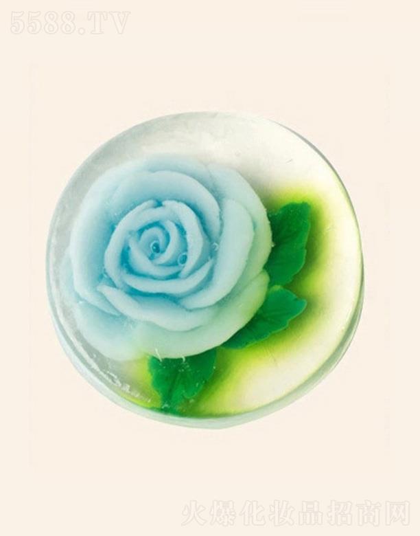 �V���G������Ƽ����޹�˾����ܽ���{(l��n)ɫ�A���ֹ���