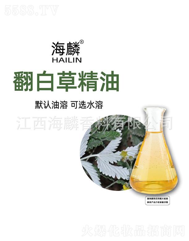 ���������㾫���޹�˾�����뷭�ײݾ���