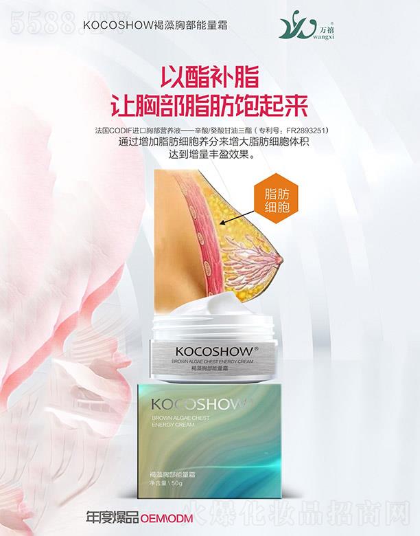 �V�|�f������Ƽ����޹�˾��KOCOSHOW�����ز�����˪ 50g