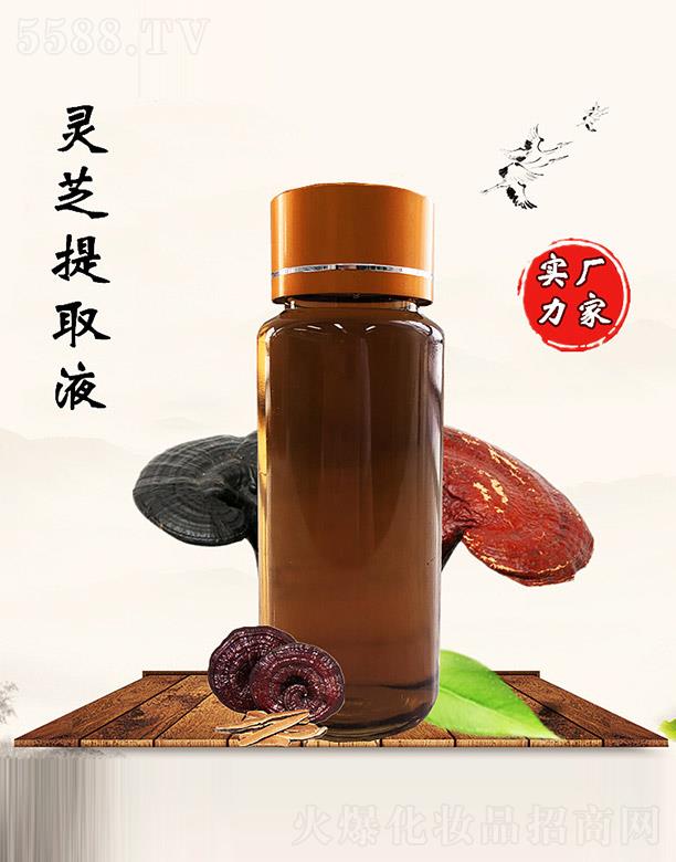 �M�ݰ������������޹�˾���������`֥��ȡҺ