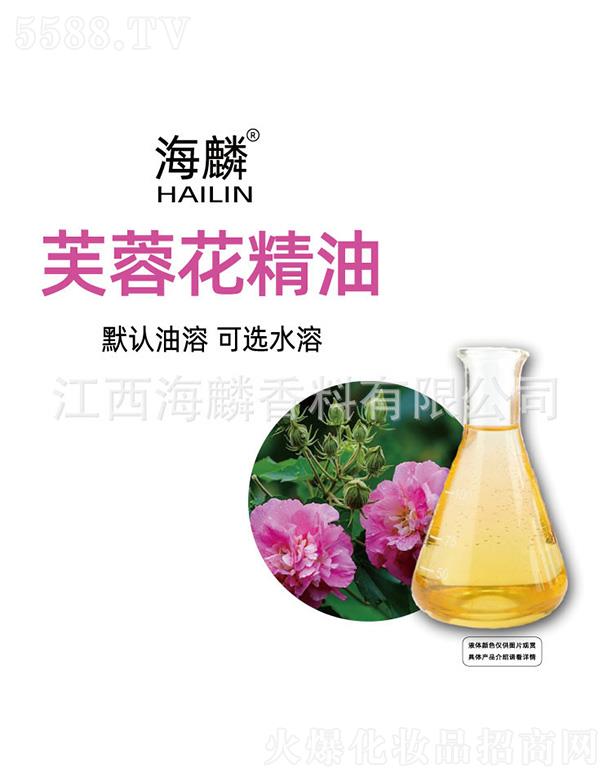 ���������㾫���޹�˾������ܽ�ػ�����