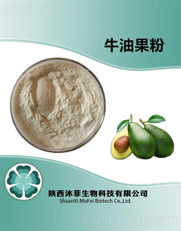 ����������Ƽ����޹�˾�����ţ�͹���