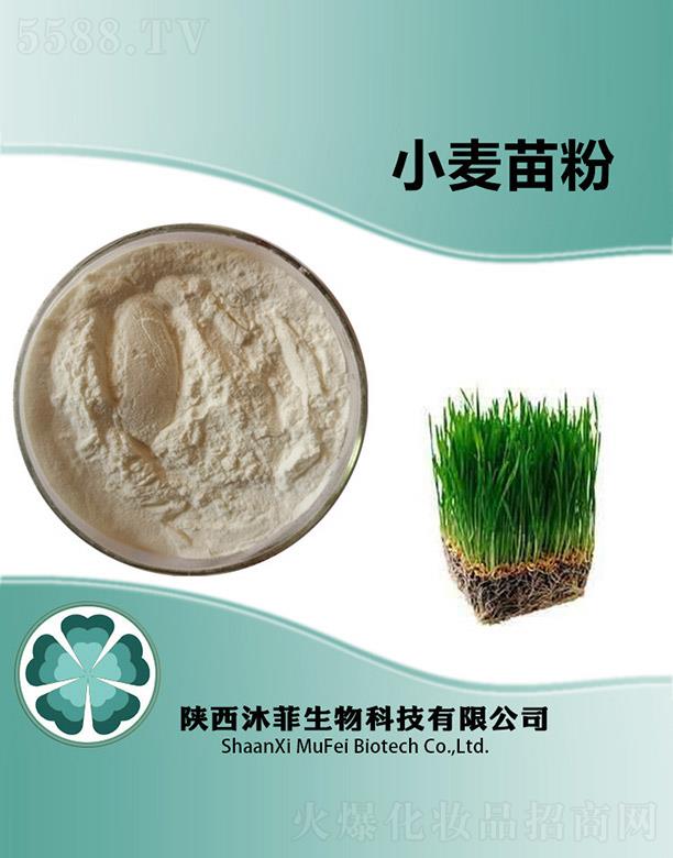 ����������Ƽ����޹�˾�����С�����