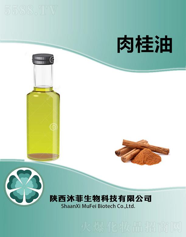 ����������Ƽ����޹�˾����������