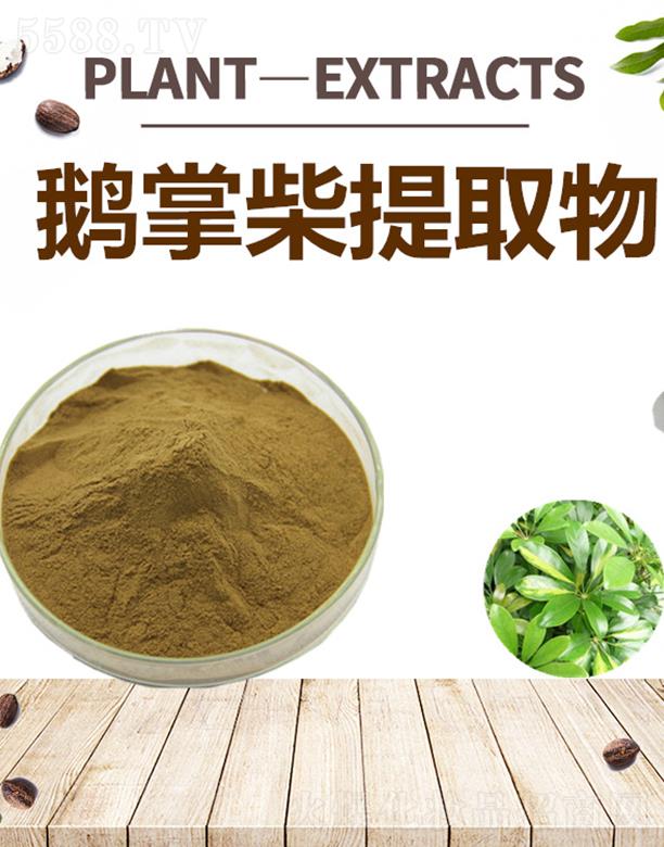 ����ĺ�����Ƽ����޹�˾���ĺ��Z�Ʋ���ȡ��