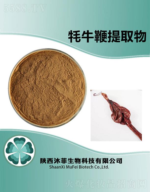 ����������Ƽ����޹�˾�������ţ����ȡ��