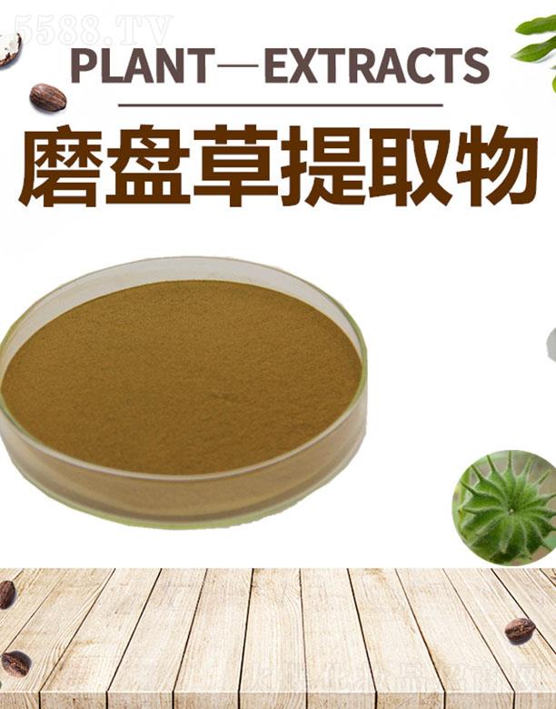 ����ĺ�����Ƽ����޹�˾���ĺ�ĥ�P����ȡ��