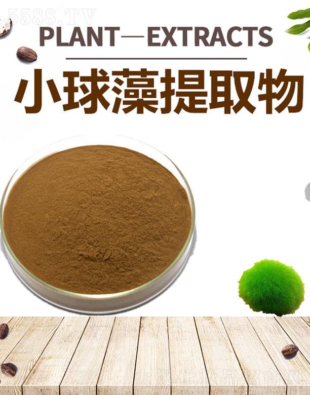 ����ĺ�����Ƽ����޹�˾���ĺ�С������ȡ��