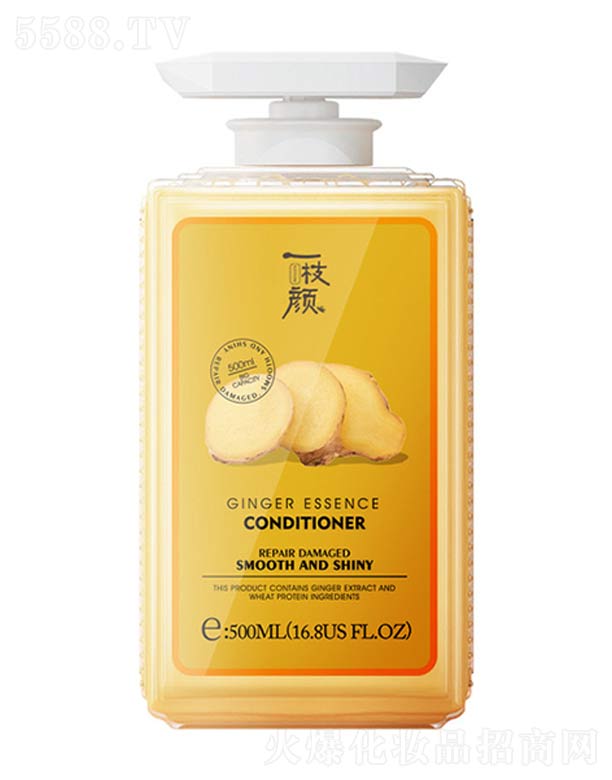 ��(gu��)�y���V�ݣ��Ƽ����޹�˾��һ֦�?zh��n)o(h��)�l(f��)��