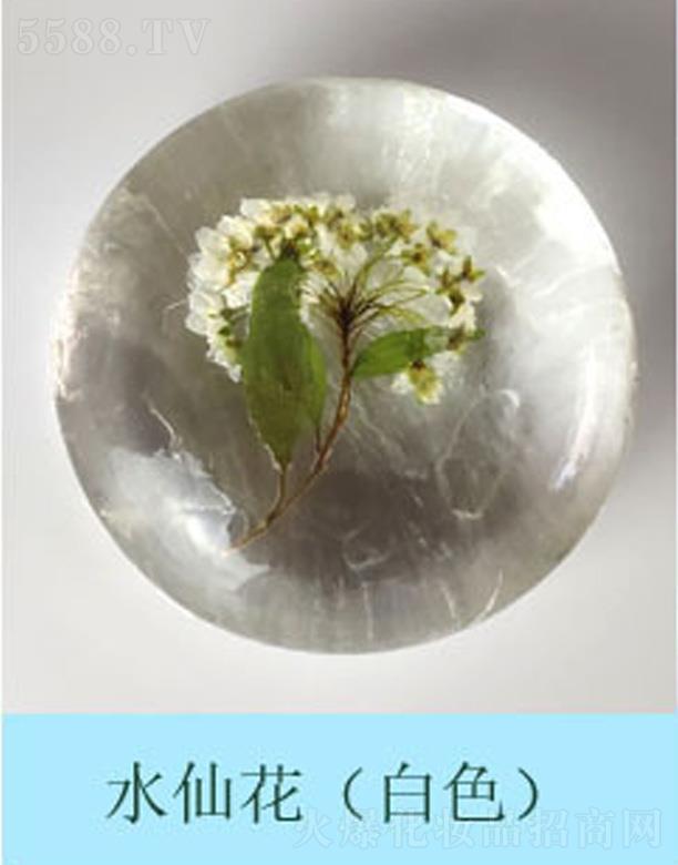 �V���к����m����Ƽ����޹�˾���������r����ˮ�ɻ�����ɫ��