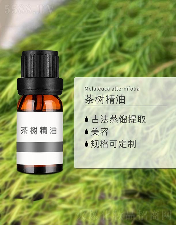 ����ɭ����Ƽ�(���u)���޹�˾�����(sh��)����