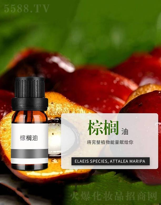 ����ɭ����Ƽ�(���u)���޹�˾���ؙ���