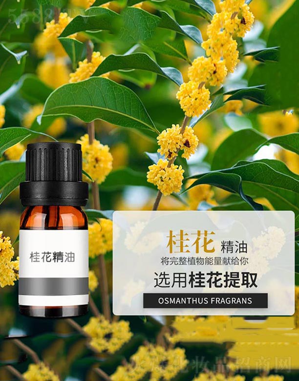 ����ɭ����Ƽ�(���u)���޹�˾���𻨾���