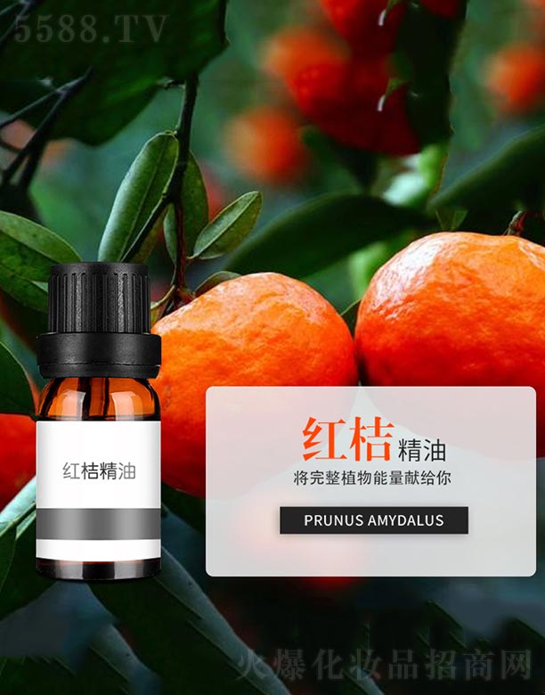 ����ɭ����Ƽ�(���u)���޹�˾���t�۾���