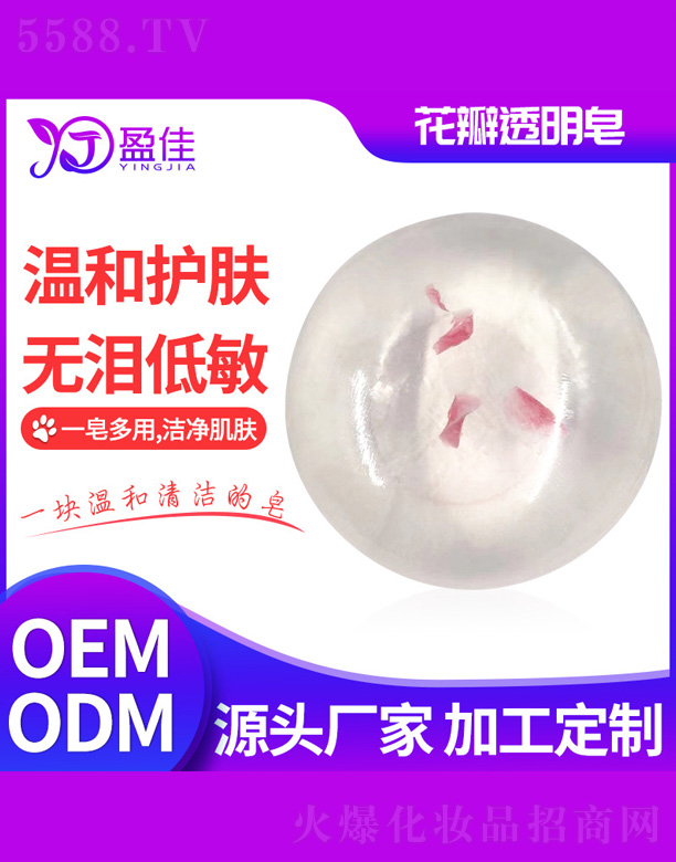 ��ɽӯ�т����o(h��)����Ʒ���޹�˾������͸���ֹ���