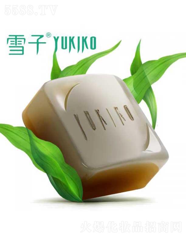 ѩ������Ƽ�(����)���޹�˾��ѩ�Ӻ���ˮ����Դ�ֹ���