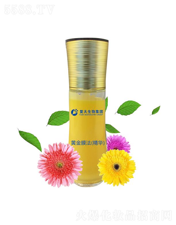 ɽ�|��(f��)������Ƽ����޹�˾����(f��)�����Ｏ�F(tu��n)�S��Ĥ��(���A)���ӹ�