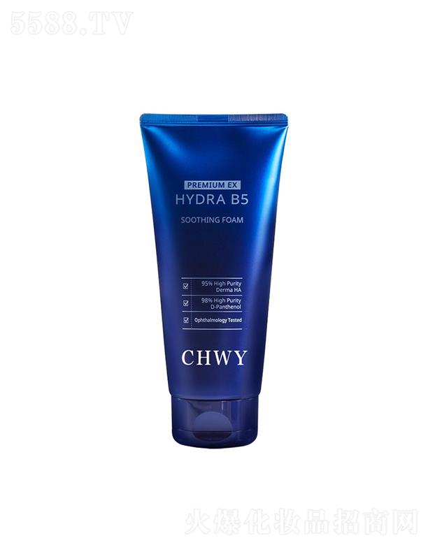 �V�|嫝�(r��n)����Ƽ����޹�˾��嫝�(r��n)������ĭϴ���̝�����  ������