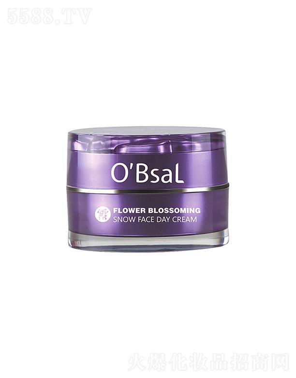 ����������߶�����Ƽ����޹�˾���Wؐѩ����ѩ���˪