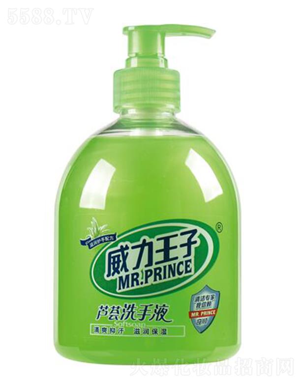 �V������ջ��Ƽ����޹�˾�����������J�C���wϴ��Һ 500��