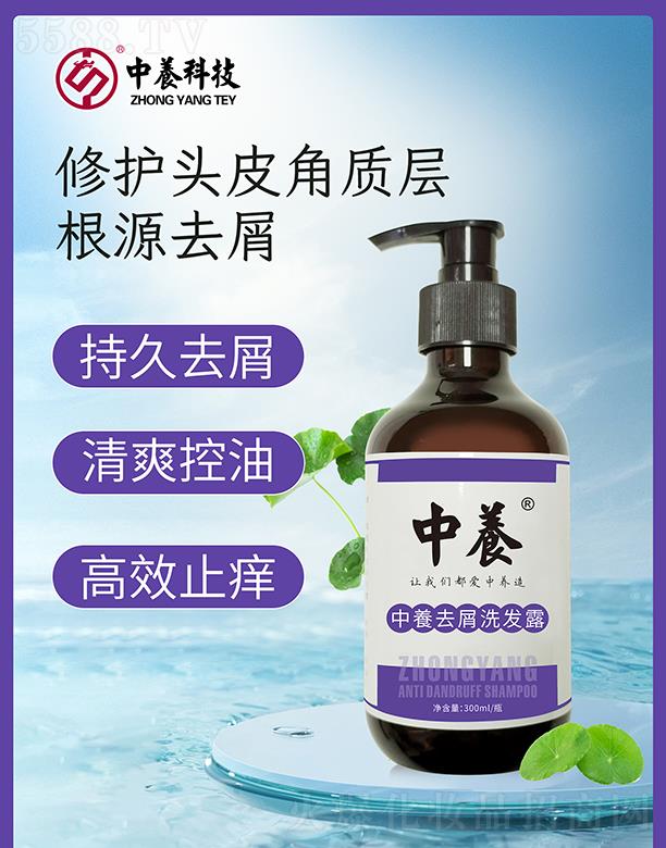 ���B(y��ng)�Ƽ�(�V�|)���޹�˾�����B(y��ng)ȥмϴ�l(f��)¶