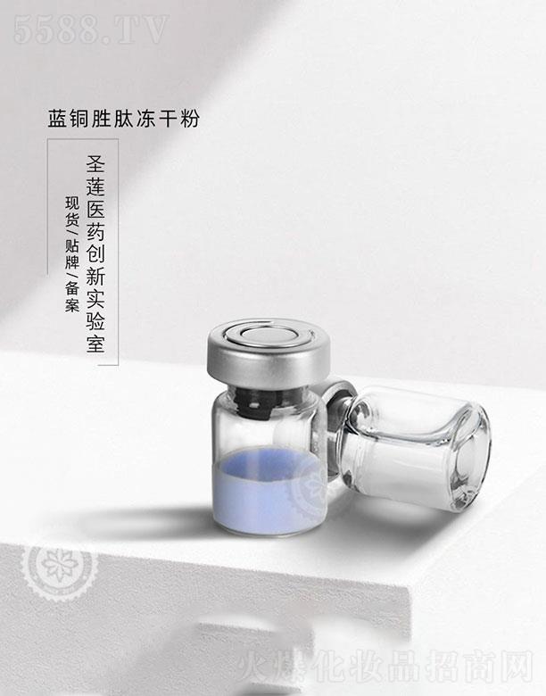 �V��ʥɏ�t(y��)ˎ�Ƽ����޹�˾���V��ʥɏ  ʥɏ�{(l��n)�~�ă��ɷ�   ���ǻ�