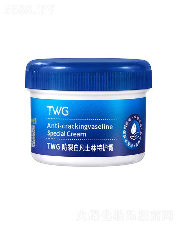 �V�ݼ�������Ƽ����޹�˾��TWG���Ѱ׷�ʿ�����o(h��)��