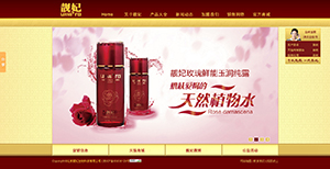 �����n������Ƽ����޹�˾