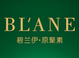 �麣����������Ƽ����޹�˾