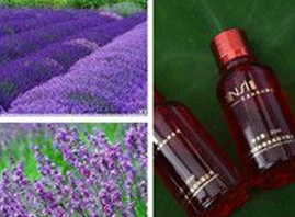 �V�ݐ�(��i)��z���yƷ���޹�˾