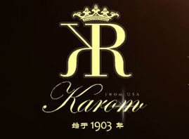 �V���A���Q�����޹�˾