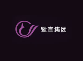 �V����������Ƽ����޹�˾