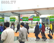 һ�����ε�������׌�҂����Ż������ǵ�