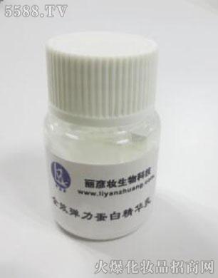 ȫЧ�������׾��A��