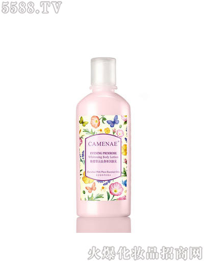 ���Ę����w���w��