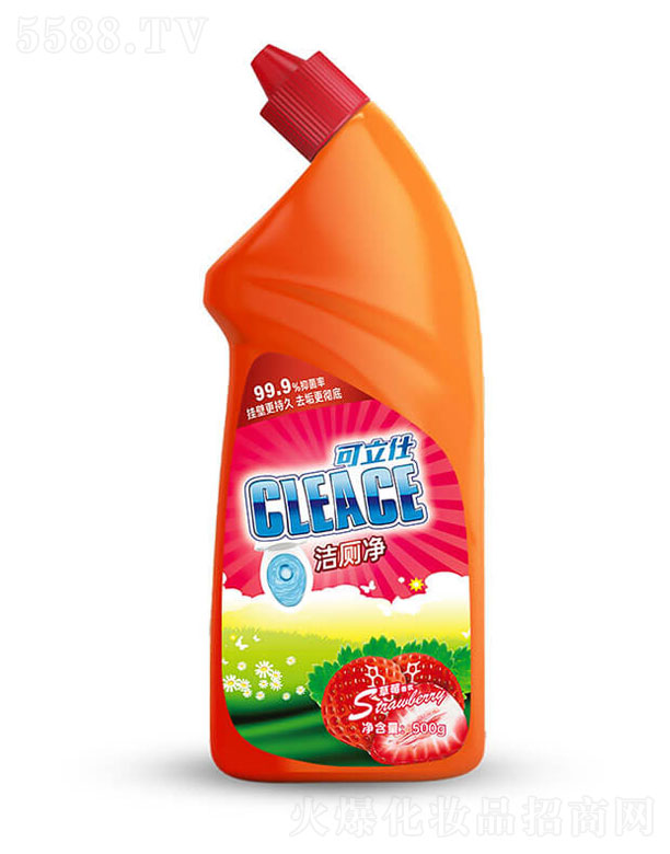 �����ˣ�CLEACE)��������ݮ���500g