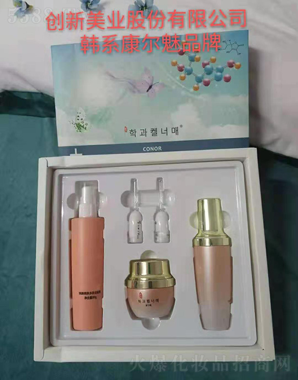 �����ȟ�����w�������o�o�������