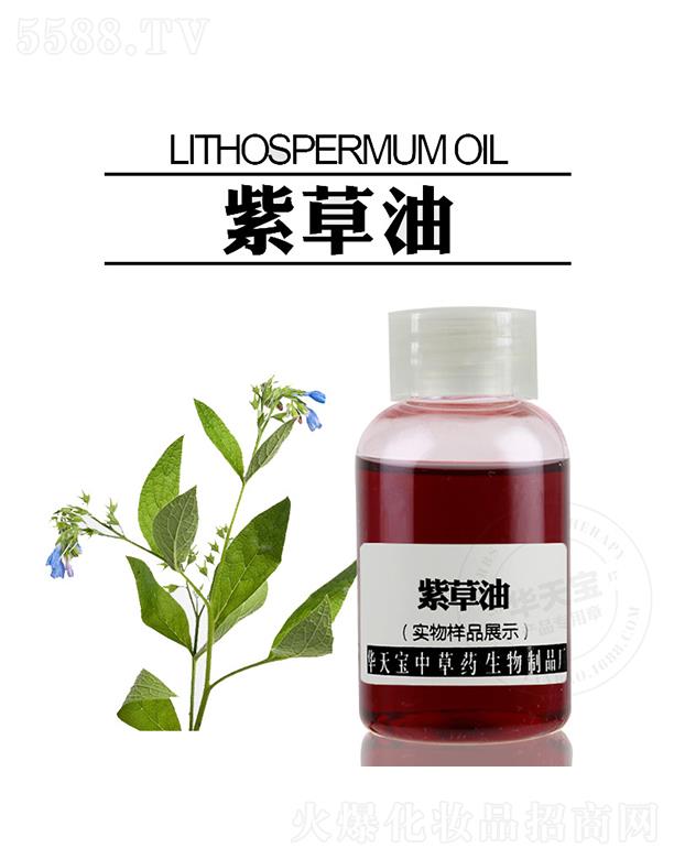 �A�쌚�ϲ���