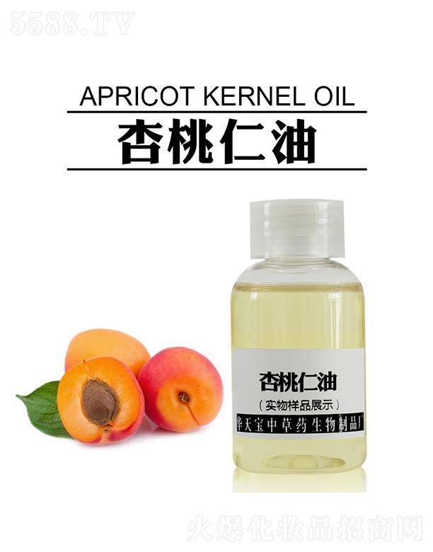 �A�쌚��������