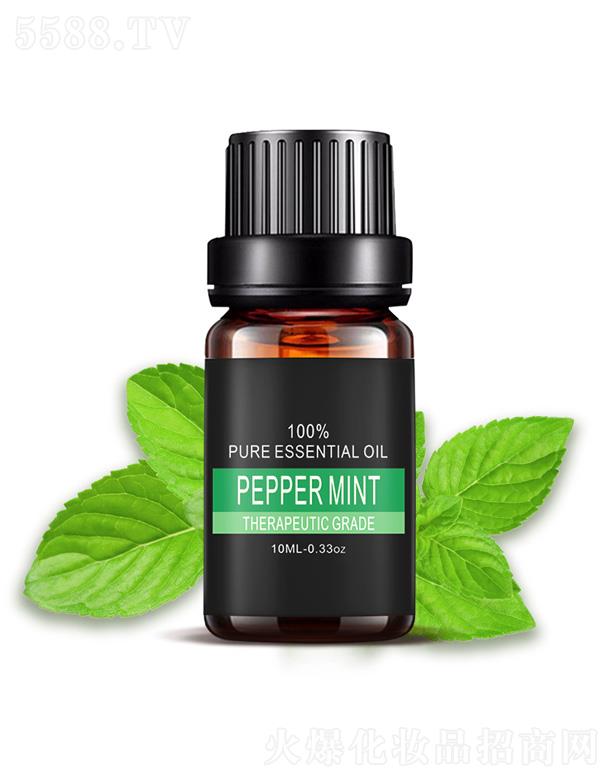 �����ű��ɾ���