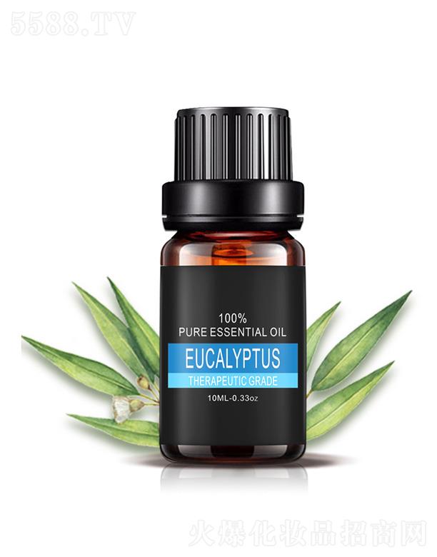 ���������(sh��)����