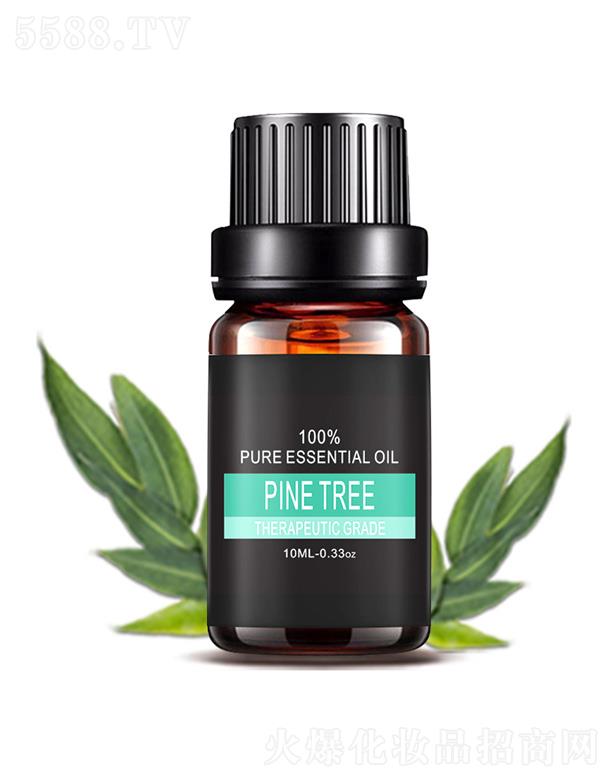 �������ɘ侫��