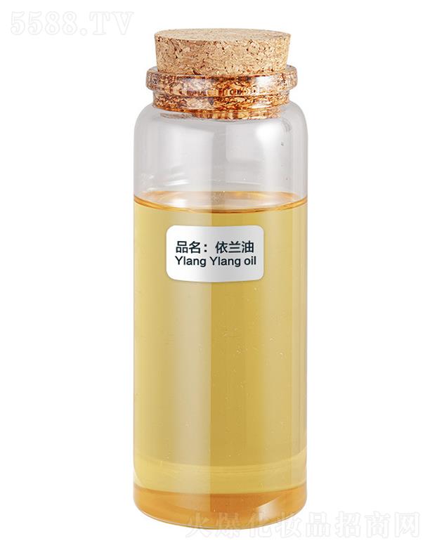 ɭ�����m��