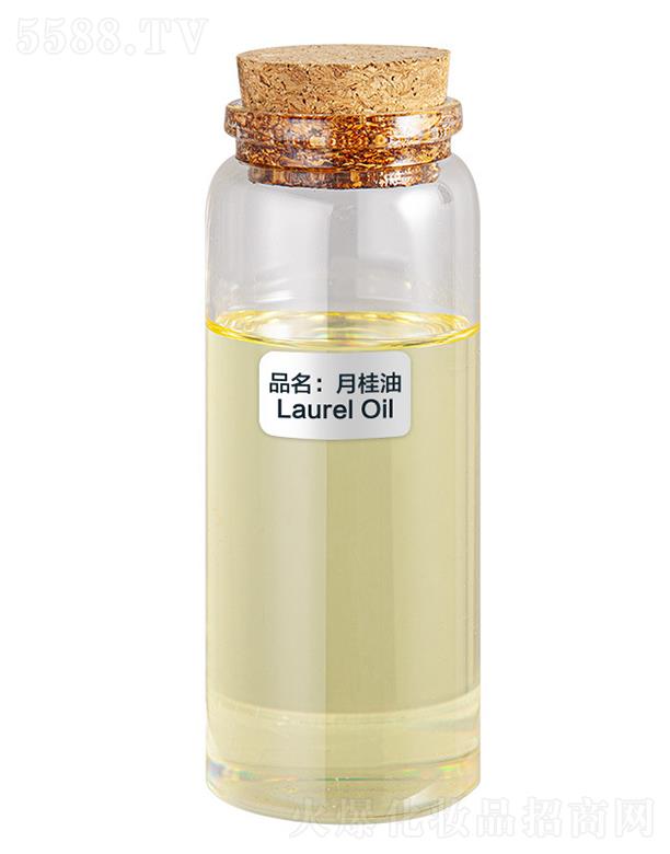 ɭ���¹���