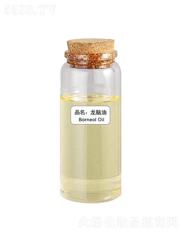 ɭ�����X��