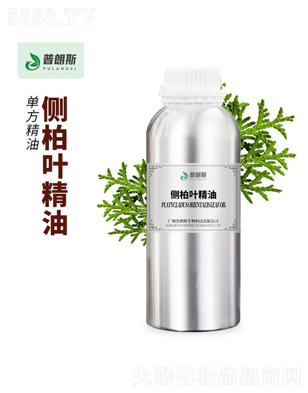 ����˹��(c��)���~����