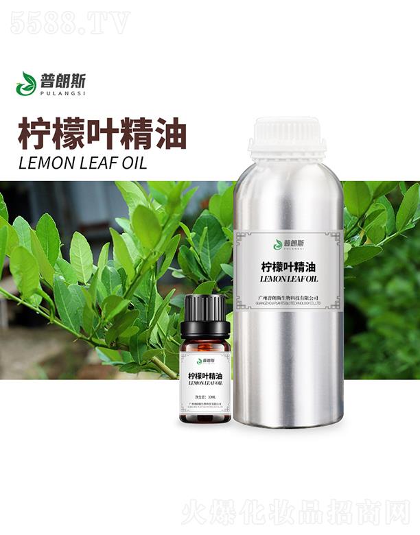 ����˹�����~����